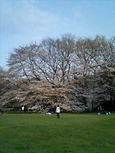 070328_1648~0001