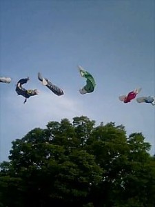 070505_1707~0001